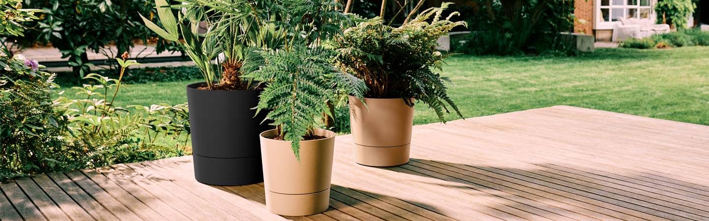 foss rond 43cm beige champignon